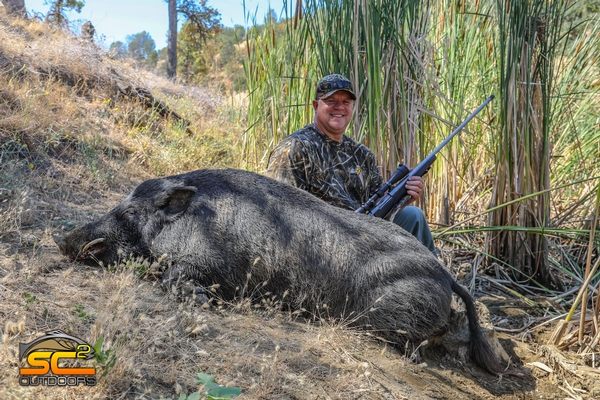 A Summer Wild Pig Hunting with SC2 Outdoors 